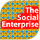 The Social Enterprise