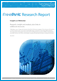 FreePint Research Report: Insights on Meltwater